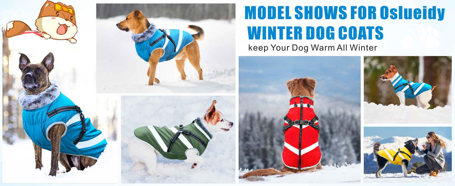 Водонепроникні куртки для собак, зимові теплі куртки для собак, одяг для домашніх тварин з відбиваючими елементами, куртки для собак у холодну погоду, затишні костюми від снігу, куртки та жилети для маленьких, середніх та великих собак (Червоний, 6XL)