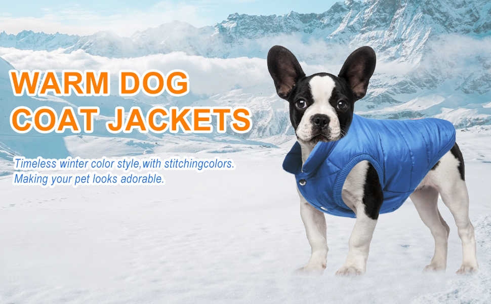 Зимовий одяг для собак Meioro: тепла куртка, флісова жилетка, м'який світшот для малих та середніх собак (XXL, блакитний)