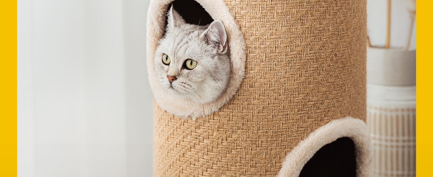 Котячий когтетоп Lionto з сизалю з іграшковим м'ячиком та плюшевим обідком, висота 50 см. Стабільний когтетоп для кошенят та дорослих котів, ідеальний догляд за кігтями та розваги, багато місць для хованнів, діаметр 36 см, висота 50 см (джут, висота 70 см)