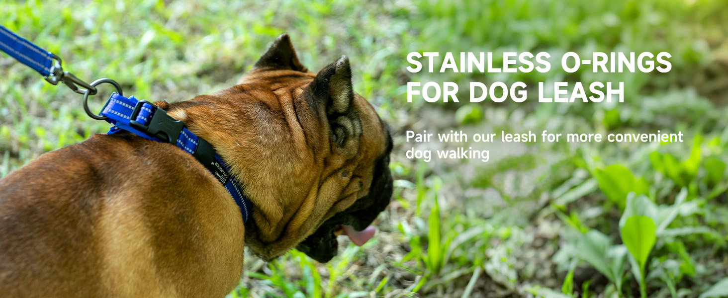 Нашийник для собак EXCELLENT ELITE SPANKER з PU матеріалу, з пряжкою, регульований, для малих, середніх та великих собак, чорний, червоний, синій (RED-L)