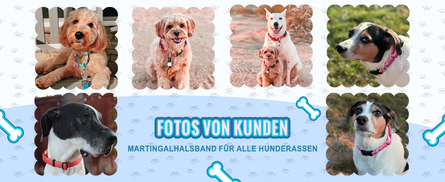 Нашийник для собак Martingale, світловідбиваючий, з зупиняючим ефектом, для великих, середніх та маленьких собак, нейлон, синій, розмір L