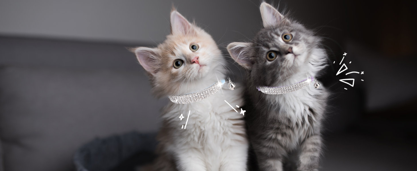 Нашийник для котів ExPawlorer з дзвіночком та стразами, на м'якому оксамиті, регульований, безпечний, для котів та маленьких собак, 2 шт., 9'-12' (Синій та фіолетовий)