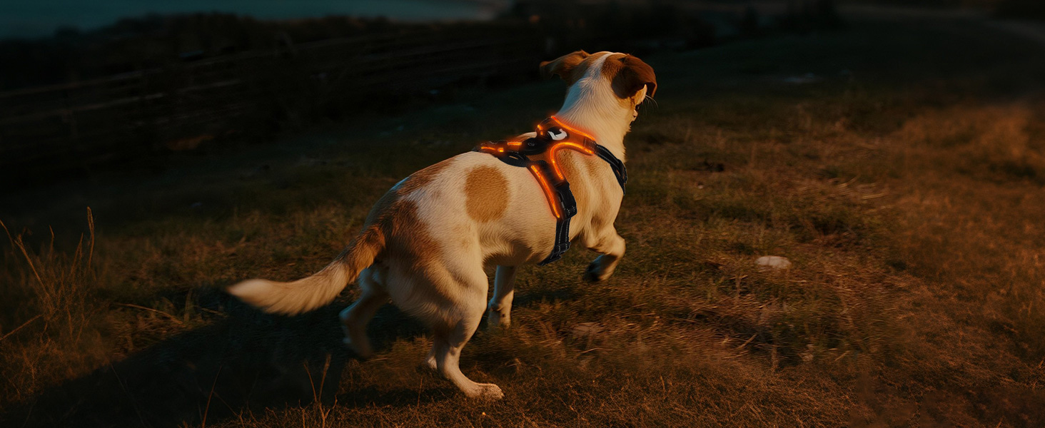 Світловідбиваючий нашийник для собак Joytale з LED, для середніх та великих собак, без натягування, з ручкою, регульований, для нічних прогулянок, зелений/помаранчевий, M/XL