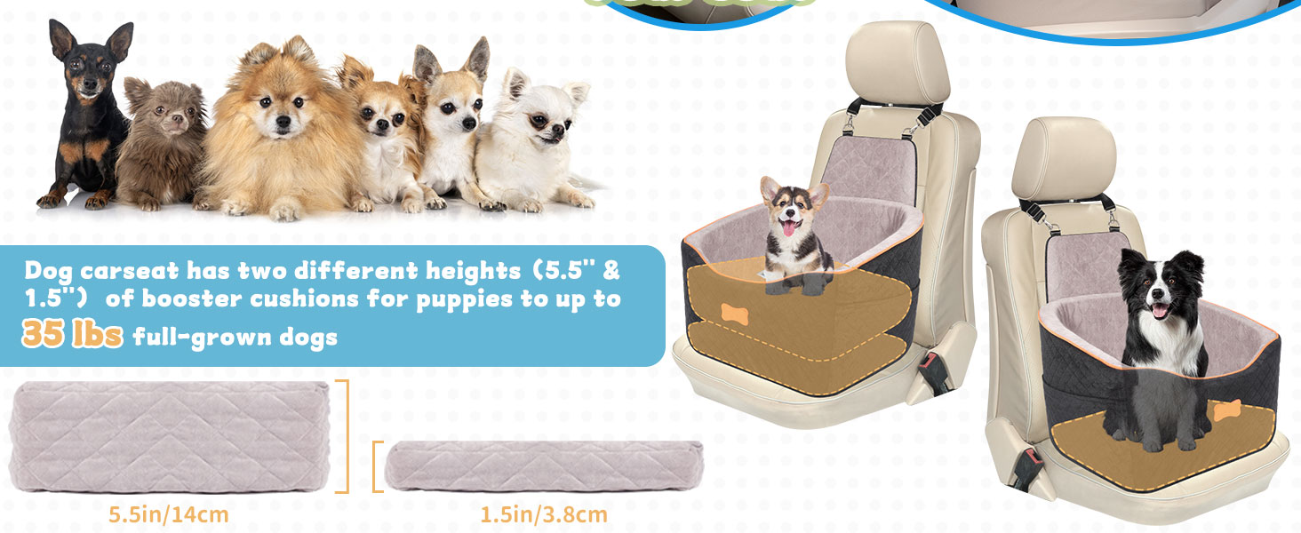 Автокрісло для собак COCASES - зручний кошик для собак малих та середніх порід, регульована висота, з безпечним ременем, знімний та миючий чохол