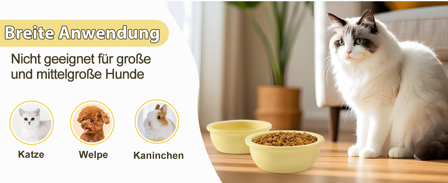 Набір мисок для котів GUUSII HOME (2 шт.) з кераміки, 14 см, 360 мл, жовті