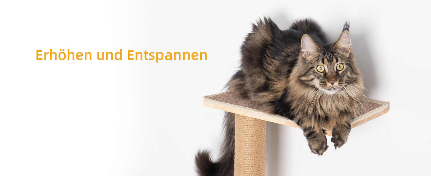 Багатоярусна кігтеточка-стінка для котів з 5 сходами, 5-ярусні полиці для відпочинку та ігри, з міцними кігтеточковими стовпчиками, з антиковзними килимками, для великих котів