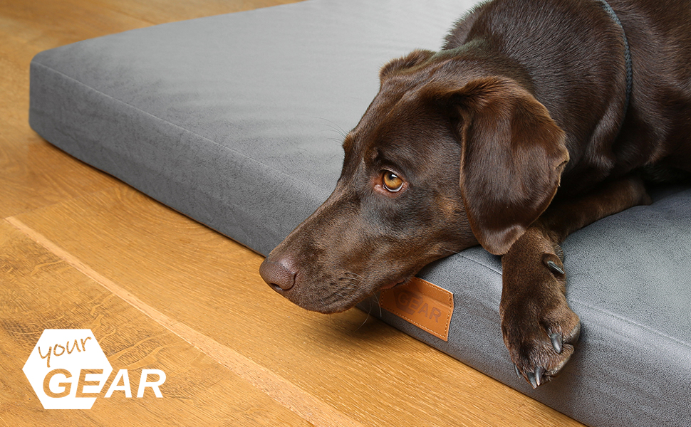 Ваше ліжко для собак GEAR Biella ортопедичне, еко-шкіра, миється, для суглобів, високий рівень комфорту (120x80x10 см)