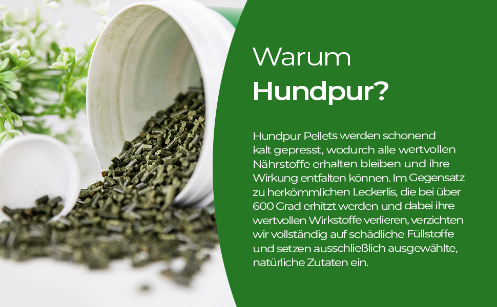 Щітка для собак Fellbürste - видалення шерсті та догляд за довгою та короткою шерстю, ергономічна ручка, для чутливої шкіри, преміум-якість, розмір S