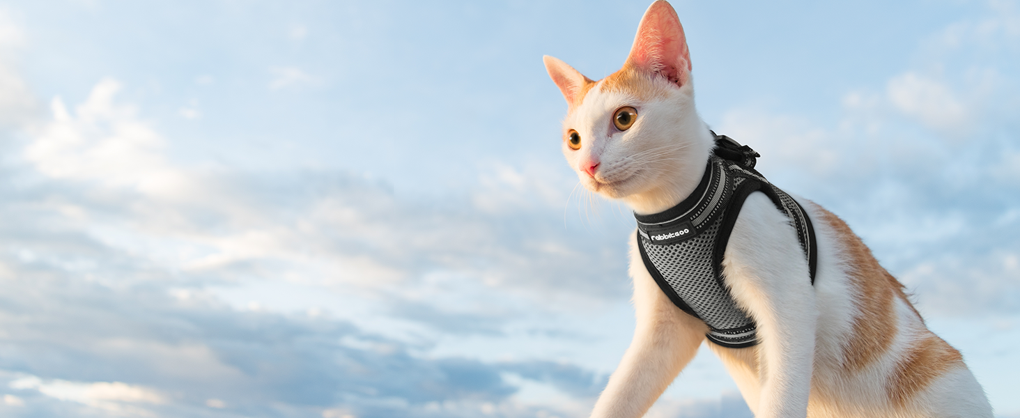 Нашийник та поводок для котів Rabbitgoo - безпечний, регульований, з відбиваючими смугами, сірий, M