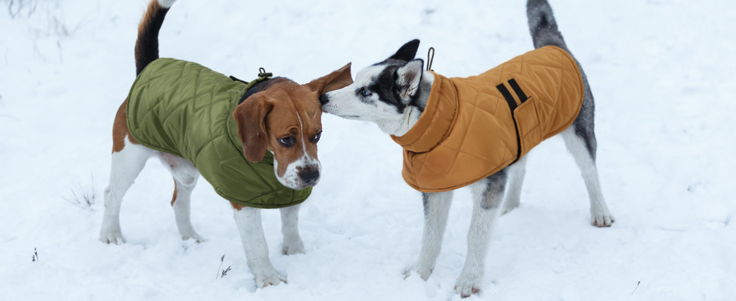 Зимовий одяг для собак великих порід: тепла куртка для такси, бульдога - вітронепроникна для дому та вулиці, кемпінгу, походів, 3XL, зелена