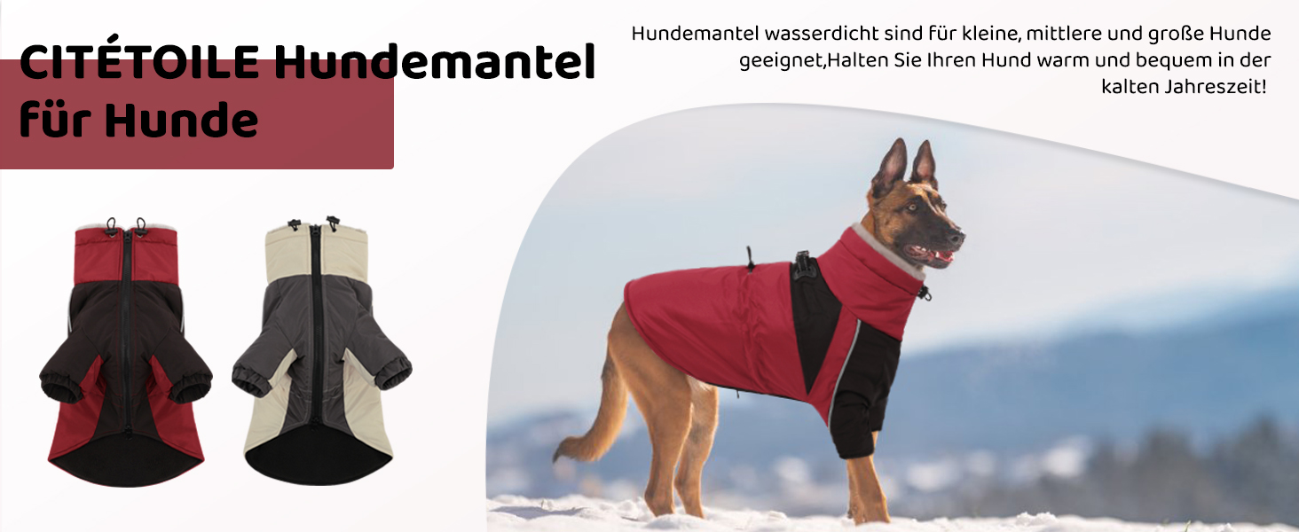 Зимовий одяг для собак, водонепроникний та вітронепроникний з отвором для повідка, для малих, середніх та великих собак, світловідбиваюча куртка з захистом живота, бежевий