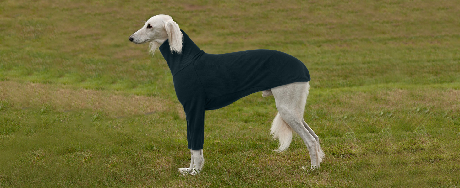 Пуловер з коміром-стійкою для гончих собак Windhund, зимовий одяг, тепла куртка для гончих, одяг для собак середнього розміру, светр для собак (3XL, темно-зелений)