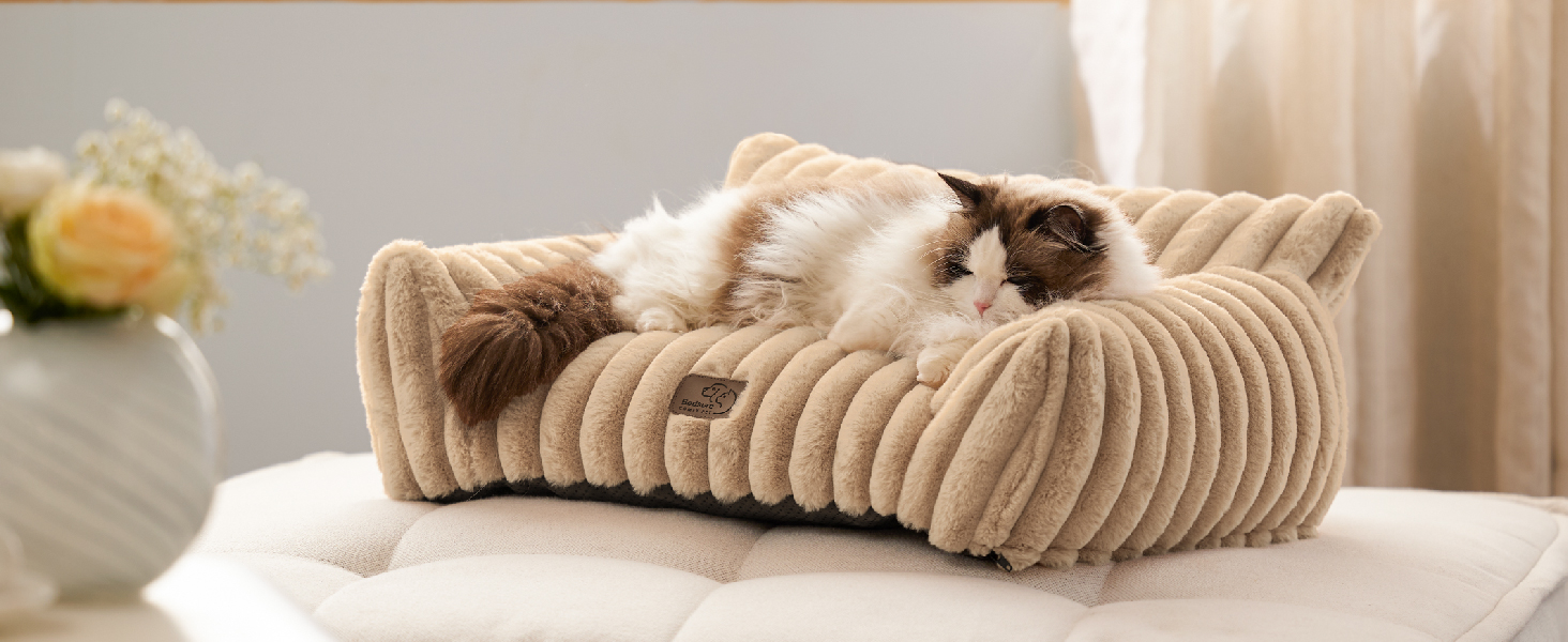 BEDSURE Ортопедичне ліжко для котів та собак великого розміру, 76x51x25 см, сіре, велике, миється, для маленьких собак та котів