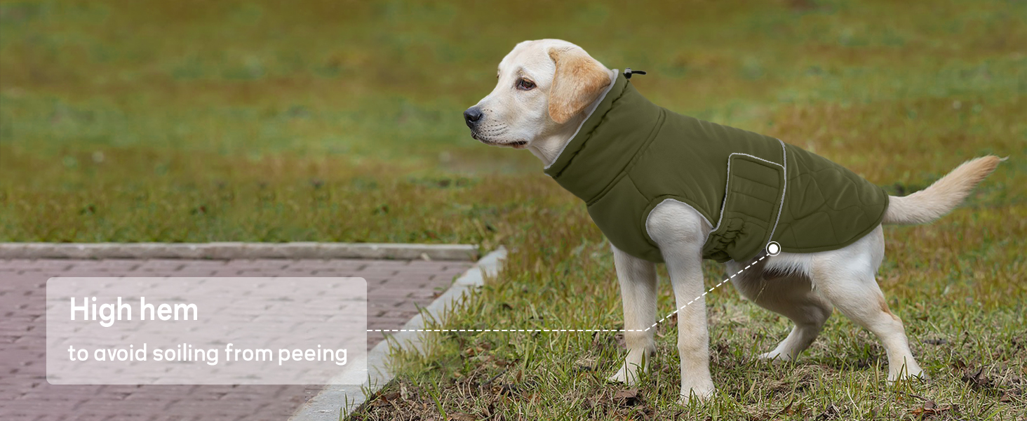 Зимовий теплий одяг для собак маленьких порід: куртка, жилет, теплий костюм для Чихуахуа, Звергшпіца, Йоркширського тер'єра (Армійний зелений, XS)