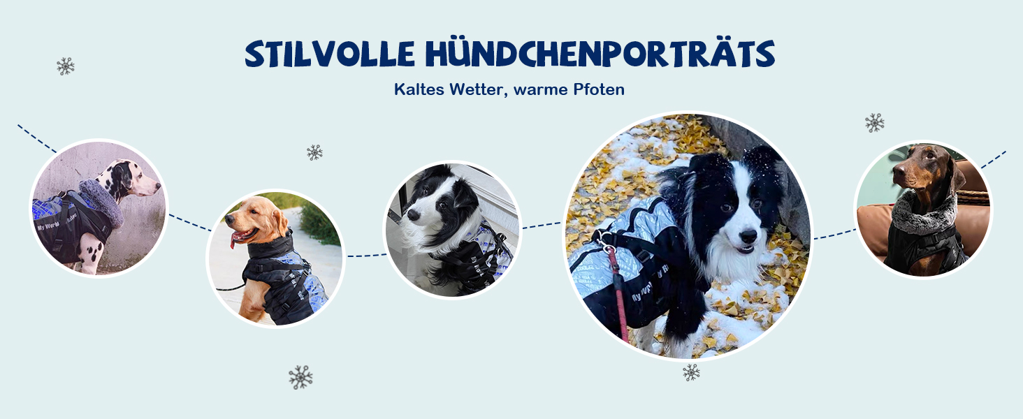 Водонепроникний теплий зимовий одяг для собак ALLSOPETS - куртка з відбиваючими смугами, стильна жилетка для холодної погоди (Blendblau, 3XL)