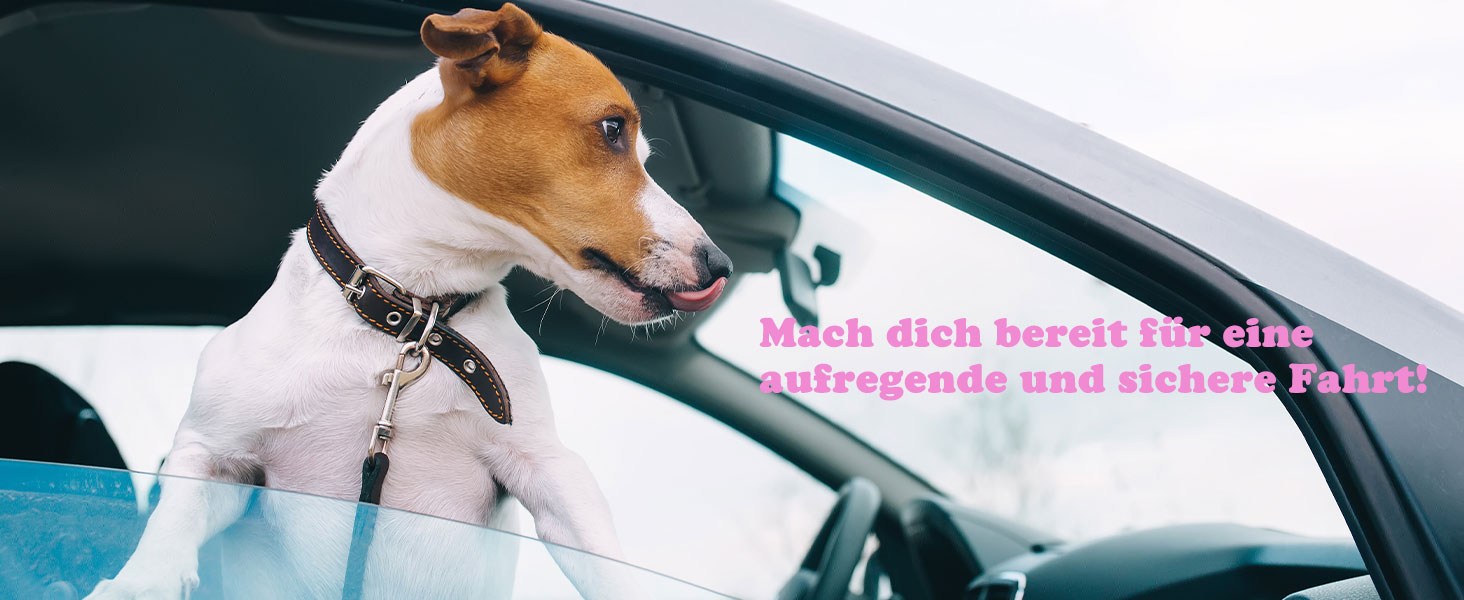 Автомобільний лежак для собак iPetba: комфортний, миючий, для собак до 15 кг, чорний