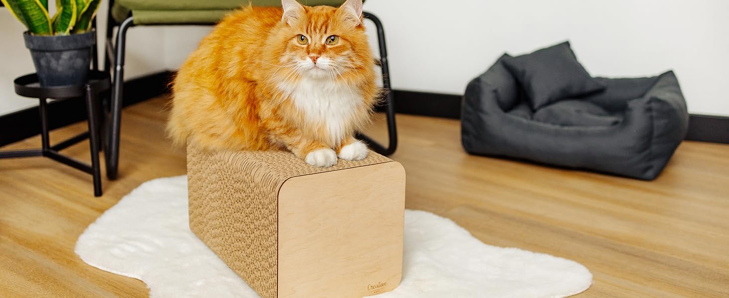 Кігтеточка для котів з гофрокартону | Міцна, велика, 2-в-1 (кігтеточка + будиночок) | 37 x 21,5 x 21,5 см