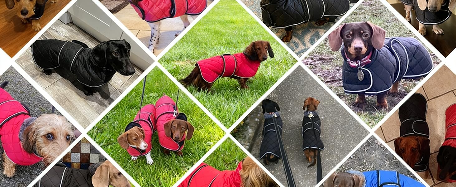 MOREZI Зимовий теплий одяг для собак - водонепроникний пуловер для такс з вовняним утеплювачем та регульованими ременями, теплий зимовий одяг для маленьких собак на вулицю, чорний, L (довжина спини: 47-50 см)