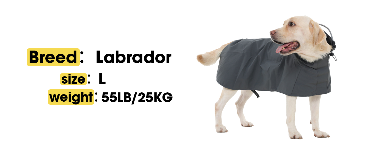 Жовтий дощовик для собак M, водонепроникний дощовик з капюшоном, світловідбиваючі елементи, регульований, з петельками для ніг та отвором для повідка, для собак маленьких, середніх та великих порід