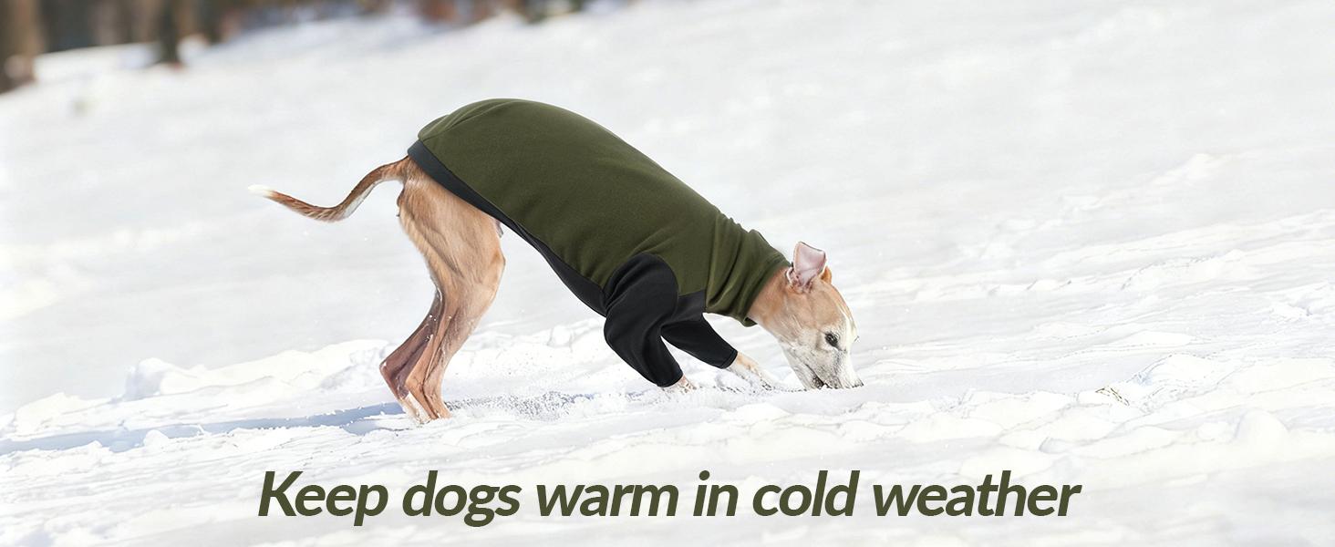 Теплий флісовий светр з високим коміром для грейхаундів, костюм, куртка, одяг для гальго, зимовий комбінезон, комфортний стиль для грейхаундів (Хакі, L)