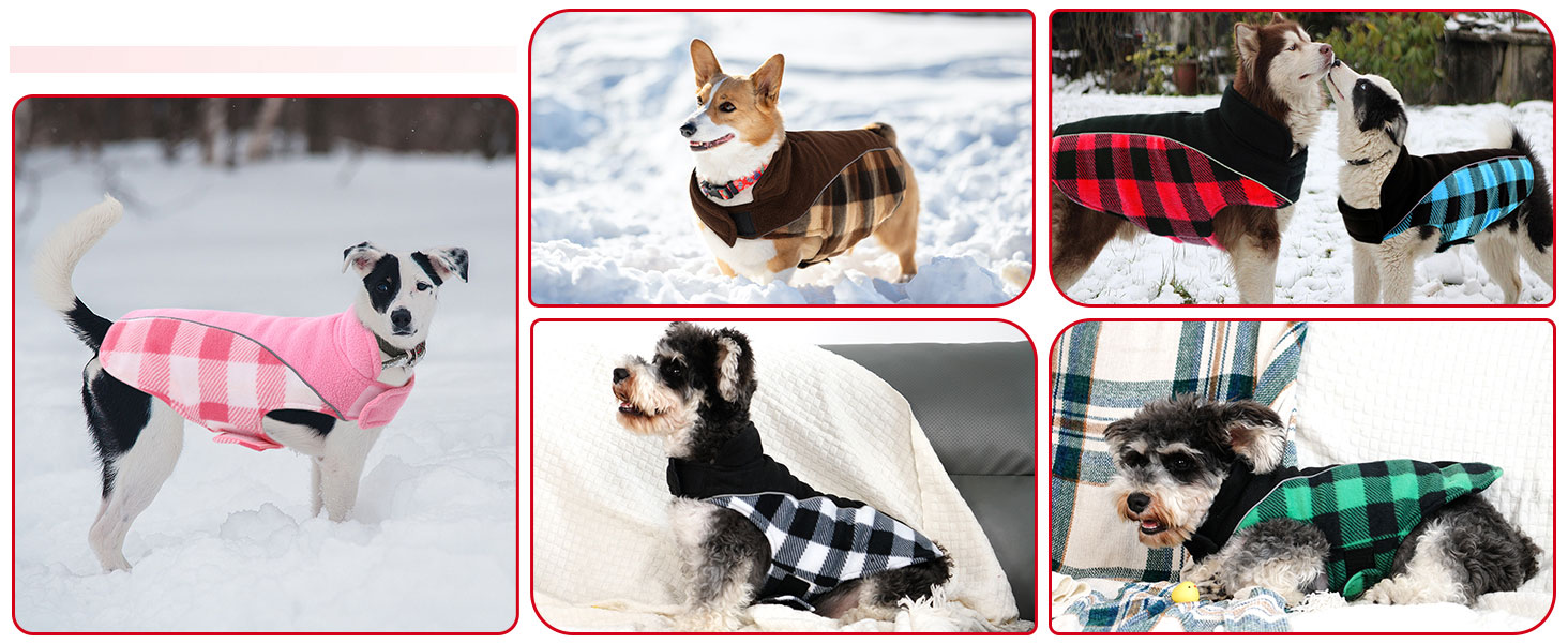 Теплий зимовий одяг для собак CITE TOILE з захистом живота, світловідбиваючими елементами, для собак великих порід, коричневий, XXL