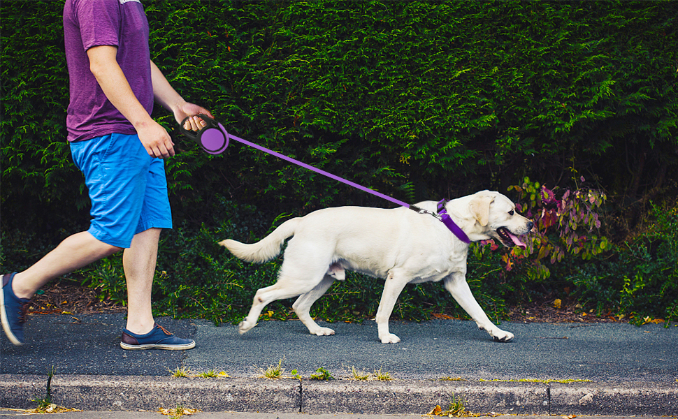Витяжна повідка для собак середніх та великих порід Taglory, до 45 кг, 5 м, антиковзний хват, безпечна система зупинки, фіолетовий