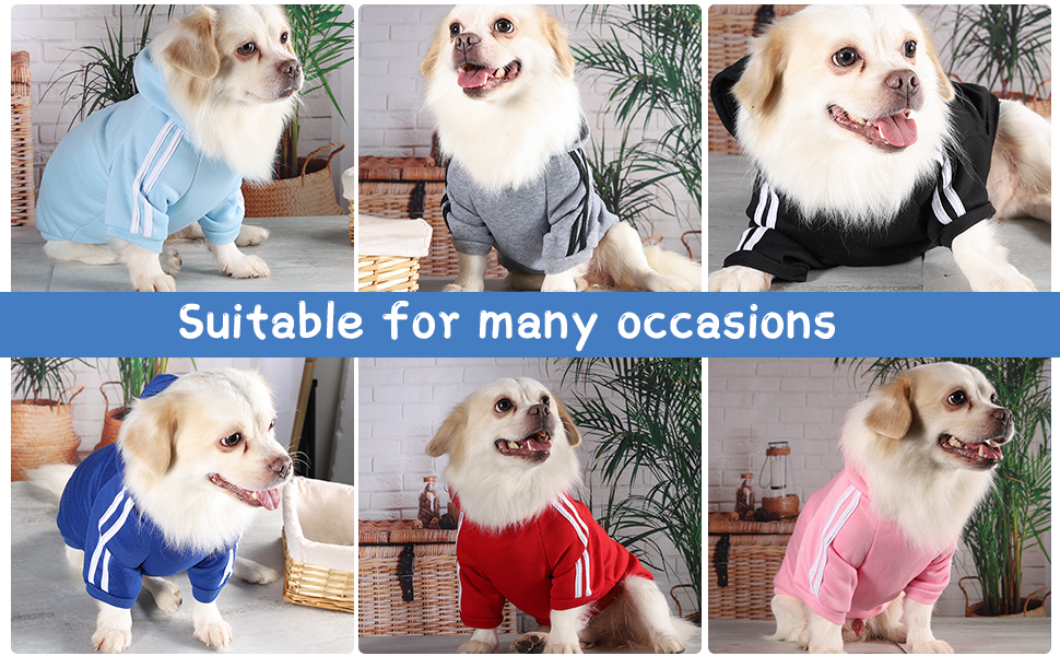 Теплий пуловер з капюшоном для собак, Чіхуахуа, великий розмір XXL, червоний