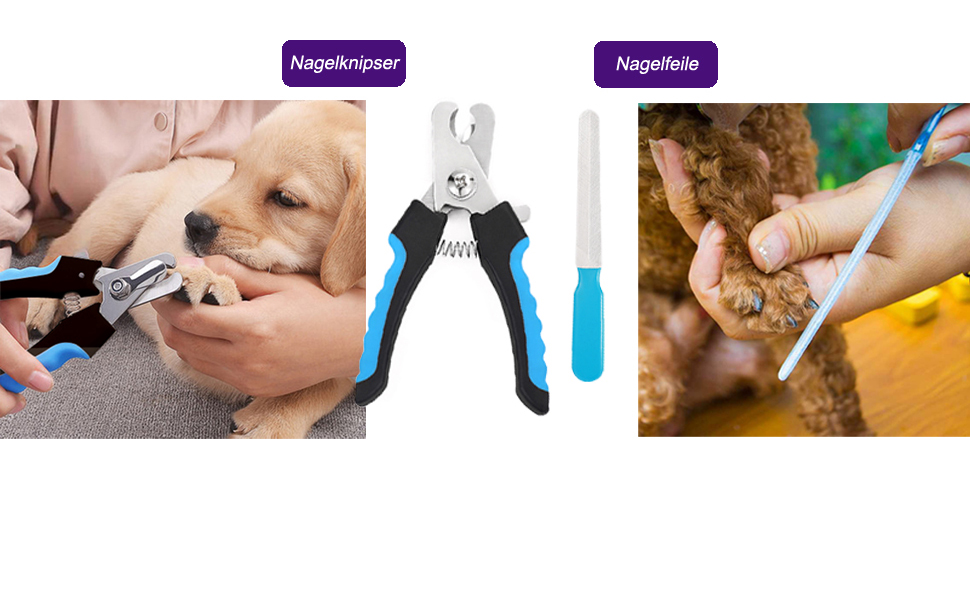 Ножиці для собак Freewindo, професійні, з округлою кінчиком, з нержавіючої сталі, для грумінгу всього тіла