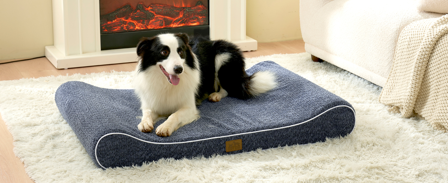 Лежанка для собак, 90x60x13 см, з високим бортиком - ортопедичний лежак для собак з корисного, водовідштовхувального та неслизького матеріалу у формі човна, підходить для собак до 29 кг, бежевий колір, розмір M