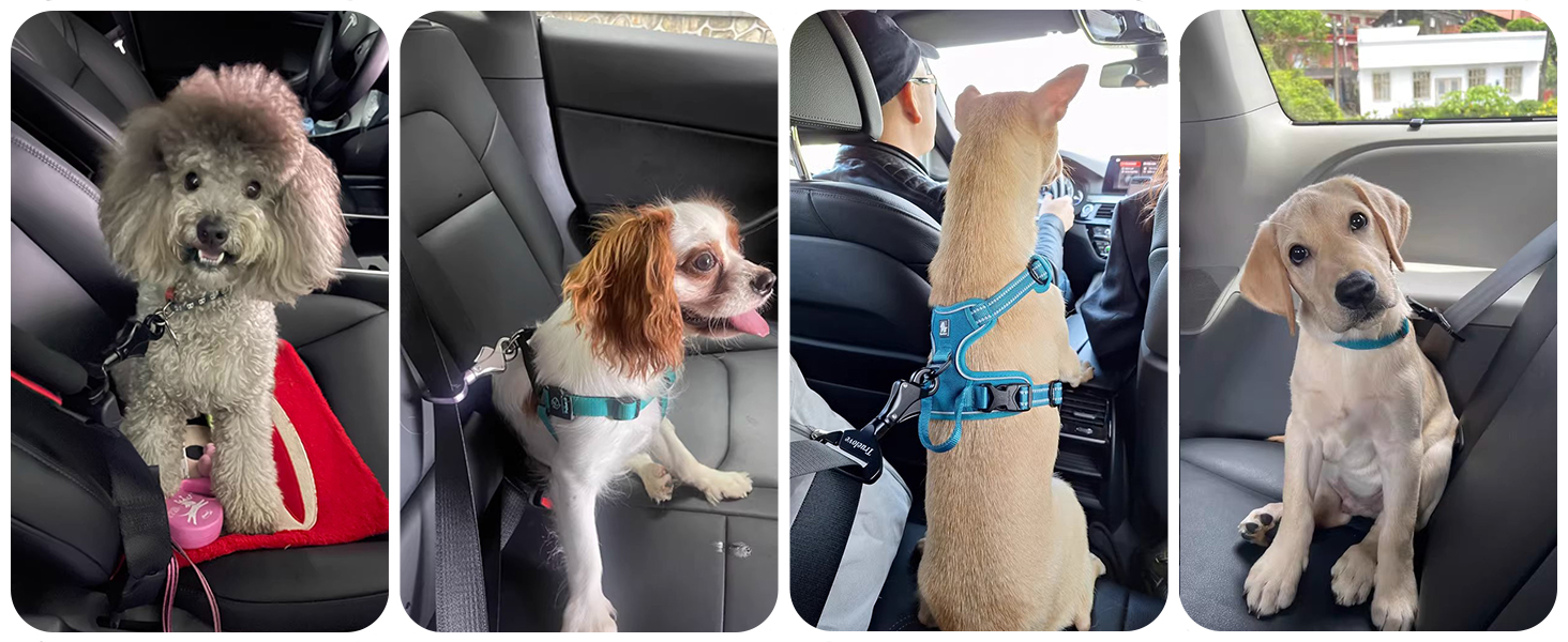 Посилений собачий нашийник-кріплення для авто, безпечна пряжка, сумісний з усіма авторемнями, для нашийників та шлейок, TLM1993-Lila