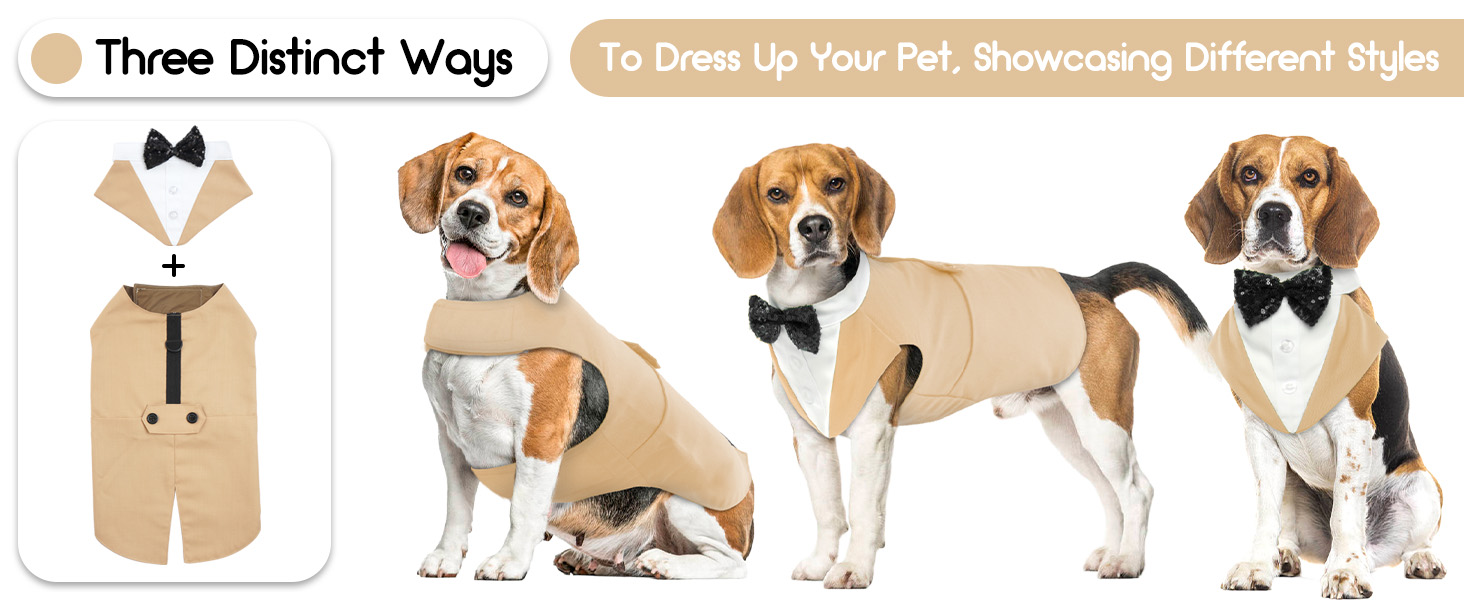 Костюм для собак, бандана, аксесуари для святкування: весілля, день народження, Хелловін (XXL, шампань)