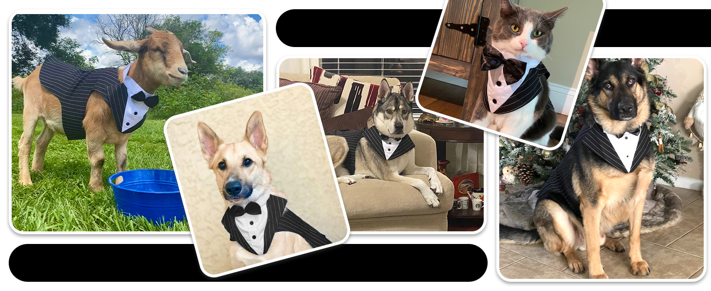 Костюм для собак 'Хюкосу Хунд' з банданою: для вечірок, свят, Хелловіну та Нового року. Підходить для собак різних розмірів.