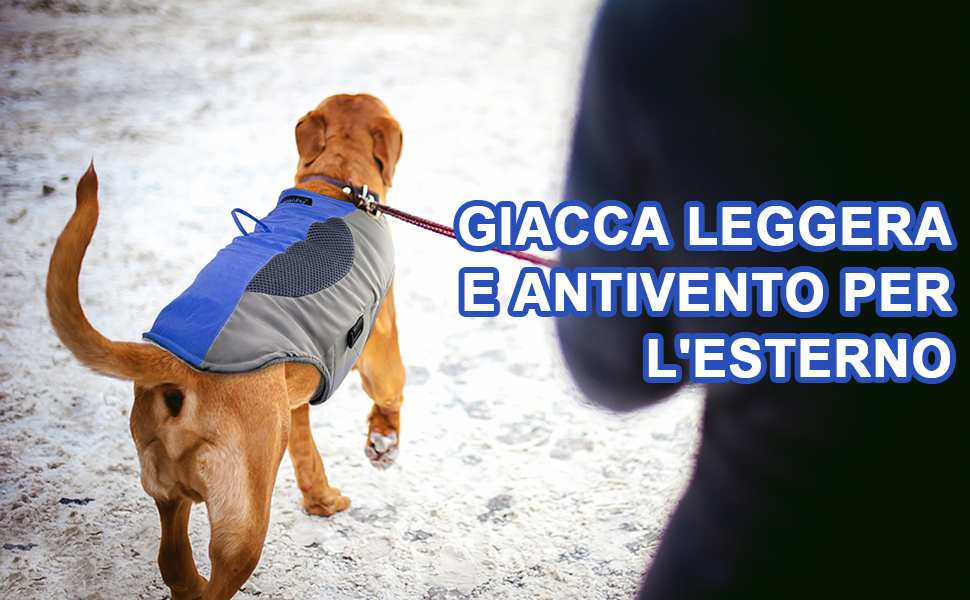 Підкладкова регульована куртка для собак, обігріваюча жилетка для собак з LED-підсвічуванням, зручна та вітронепроникна куртка для маленьких та середніх собак (XL, Синій та Сірий) XL Синій та Сірий