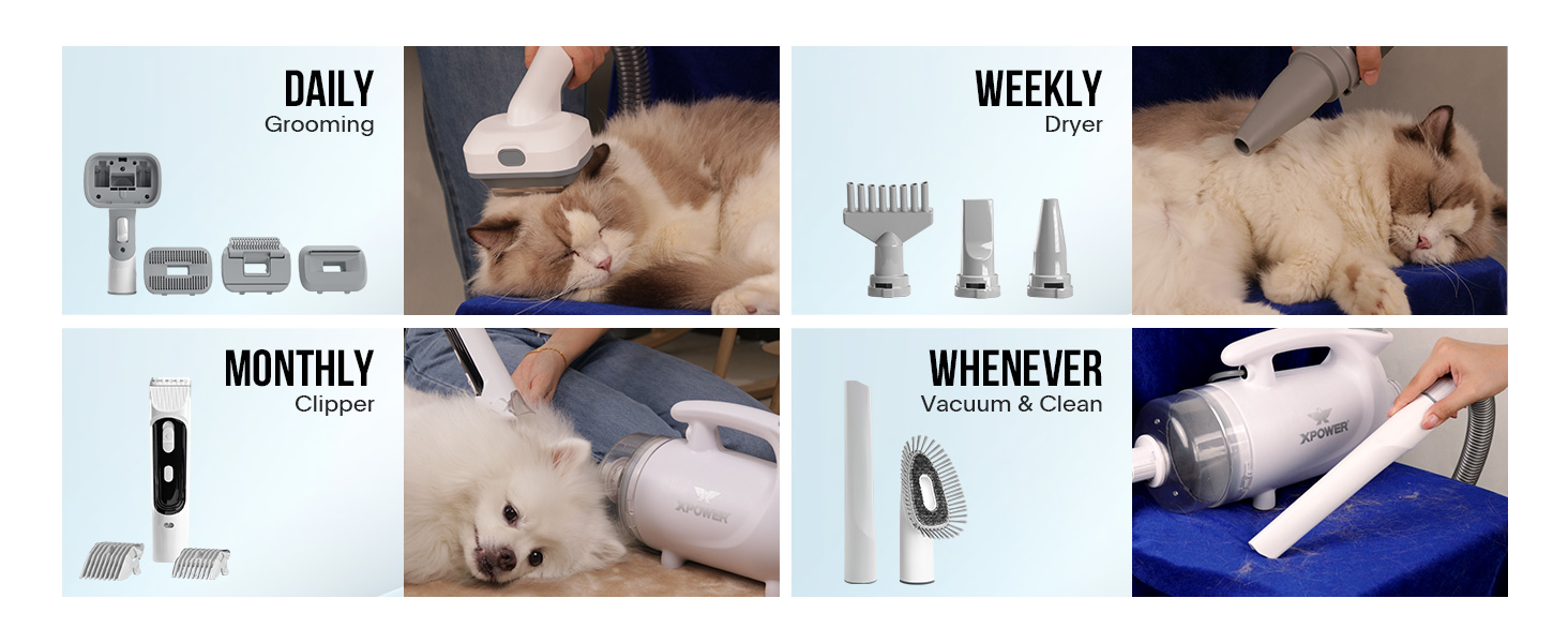 XPOWER B-117: Фен-пилосос для собак та котів - видалення шерсті, тиха та безпечна грумінг-система