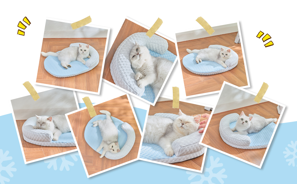 Підвісне ліжко для котів CATISM, 360° обертання, блакитне, до 20 кг