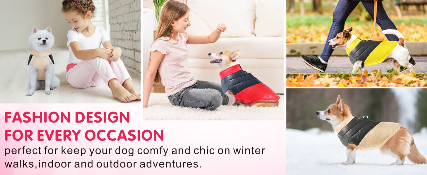 Водонепроникна куртка для собак Idepet: тепла та зручна на осінь/зиму (S, сірий)