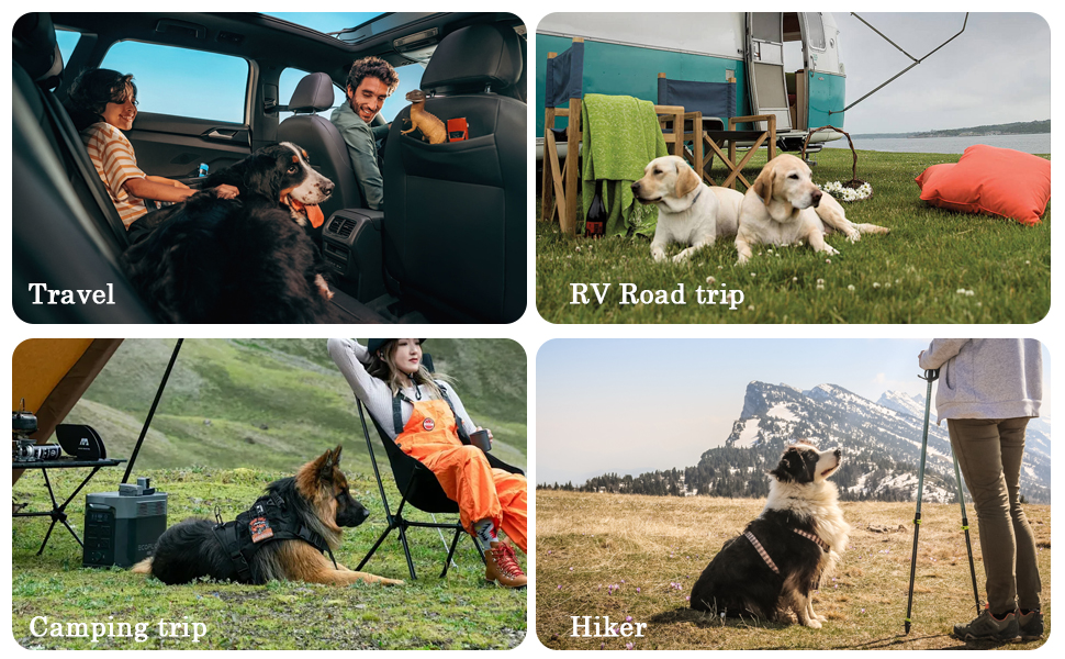 Набір для подорожей з кормом для собак, 2 шт, водонепроникний, 10 кг. Ідеально для кемпінгу, готелів для собак та подорожей