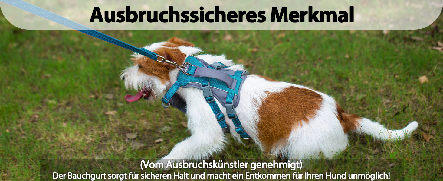 Нашийник-шлейка Huntboo для собак, анти-випадковий вихід, для панічних собак, світловідбиваючий нашийник з ручкою, регульований (S, 1 шт., блакитно-зелений)