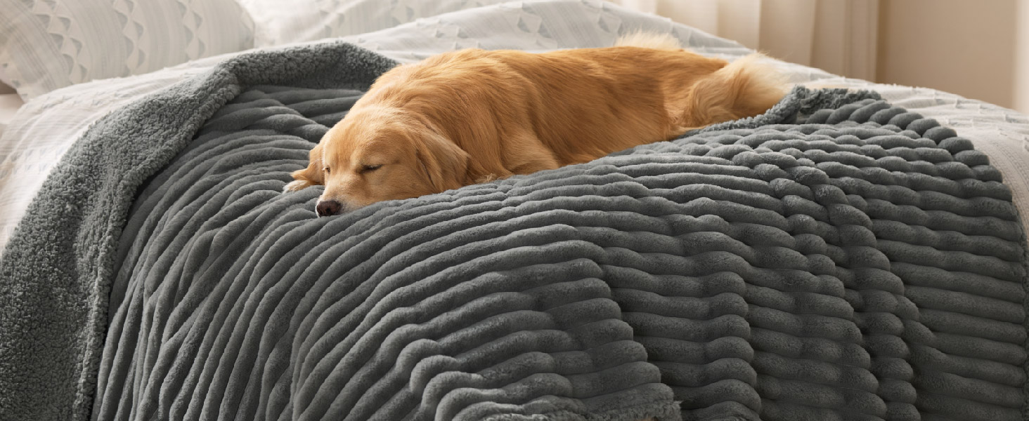 Водонепроникний коврик для собак BEDSURE 152x203 см - м'який, миючий, для великих собак, сірий