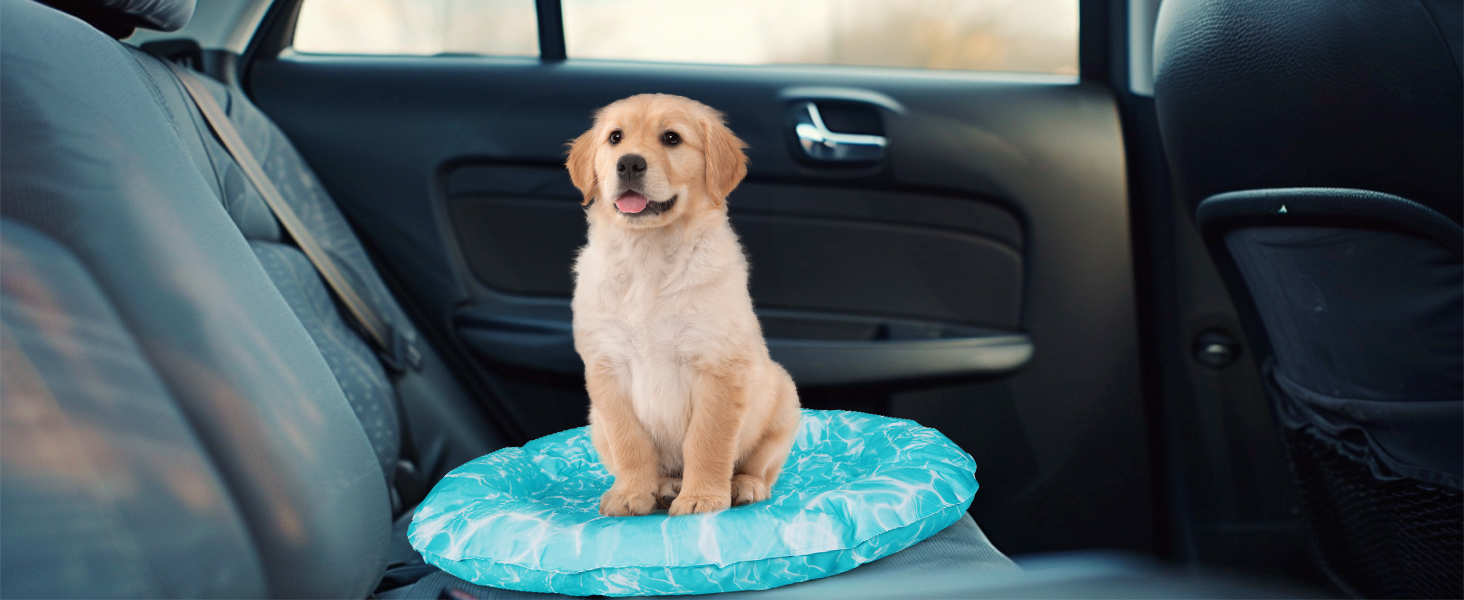 Кühlmatte Hunde Katzen Orbicular: Охолоджуючий килимок для собак та котів, розмір M, 72x72x5 см