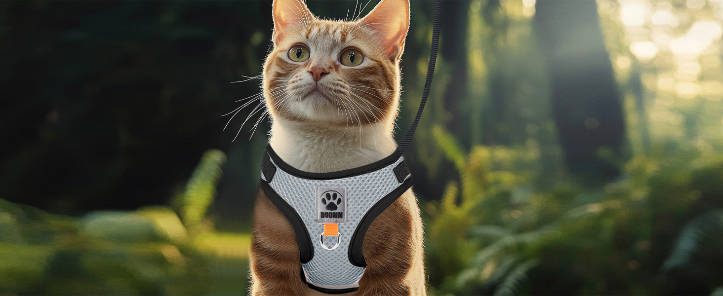 Нашийник для котів Bindokun з повідком, анти-вислизання, комплект, розмір M, сірий