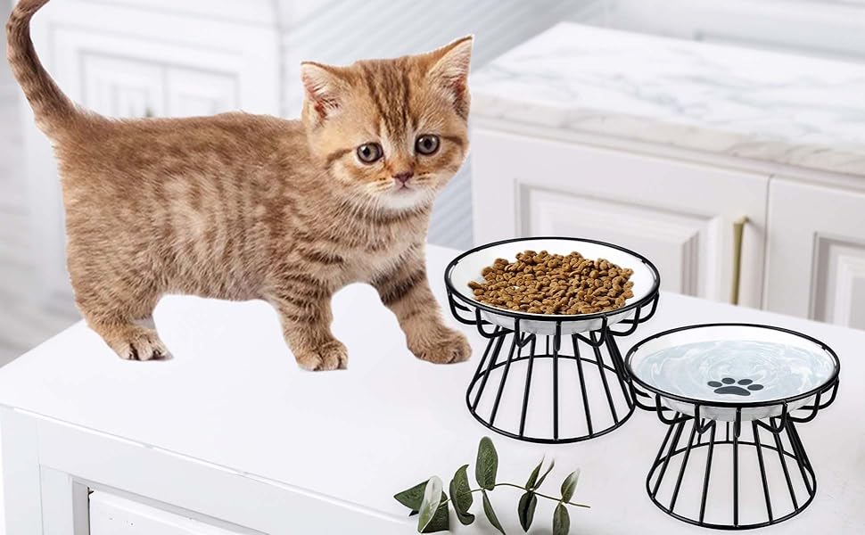 Набір мисок для котів, 2 шт., чорні, підняті, запобігають болю в шиї, широкі, антиблювотні, з антиковзним килимком