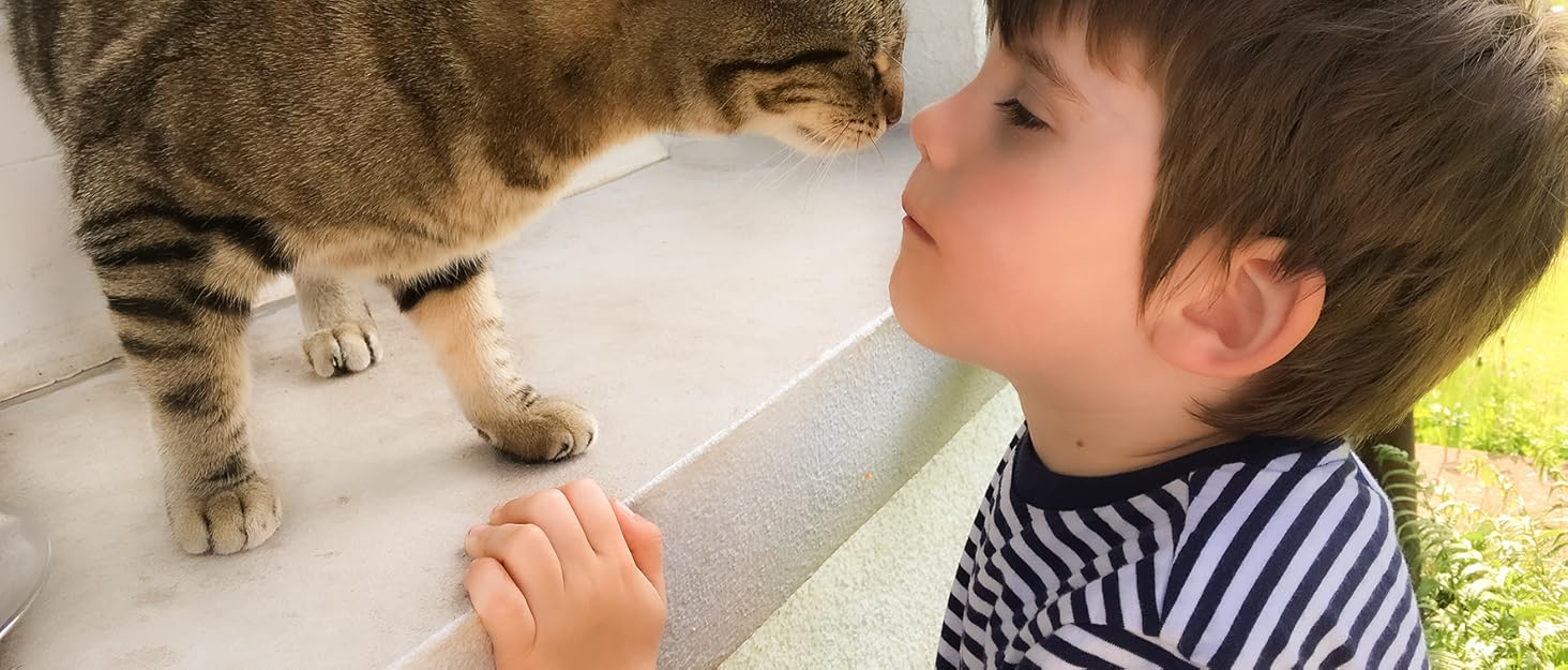 Складаний транспортний бокс для кішок з туалетом для авто, сумка-переноска Cat's Premium Suite LX, синій, зносостійкий