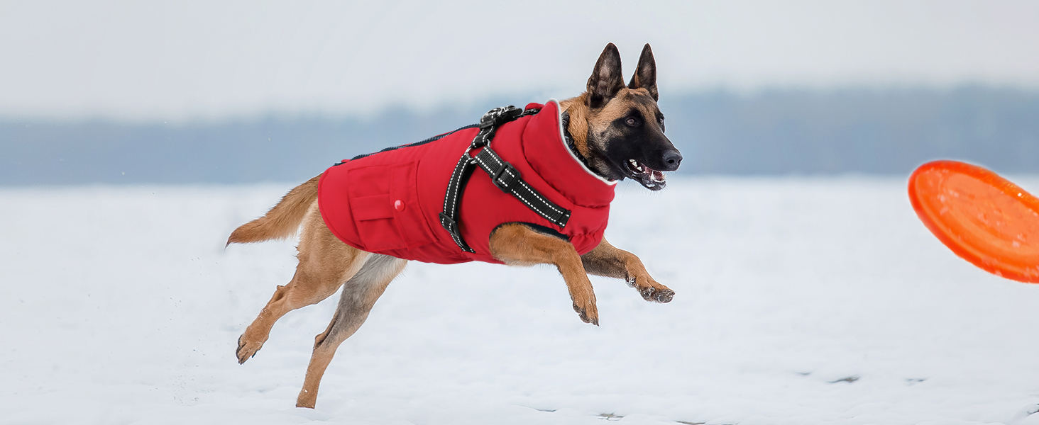 Зимовий теплий куртка для собак середнього розміру, червоний, бавовна, водонепроникний, з жилетом, світловідбиваючий