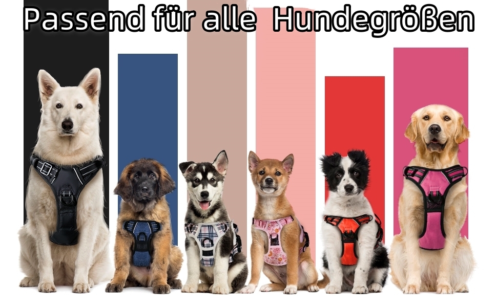 Нашийник для собак BaoCheng Anti Pull, дихаюча сітка, 3 пряжки, безпека, полегшення кашлю, світловідбиваючий, M, темно-зелений