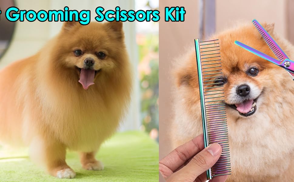 Набір професійних ножиць Yosoo для грумінгу собак та котів: 2 вигнуті ножиці, ножиці для розрідження, гребінець та коробка для зберігання