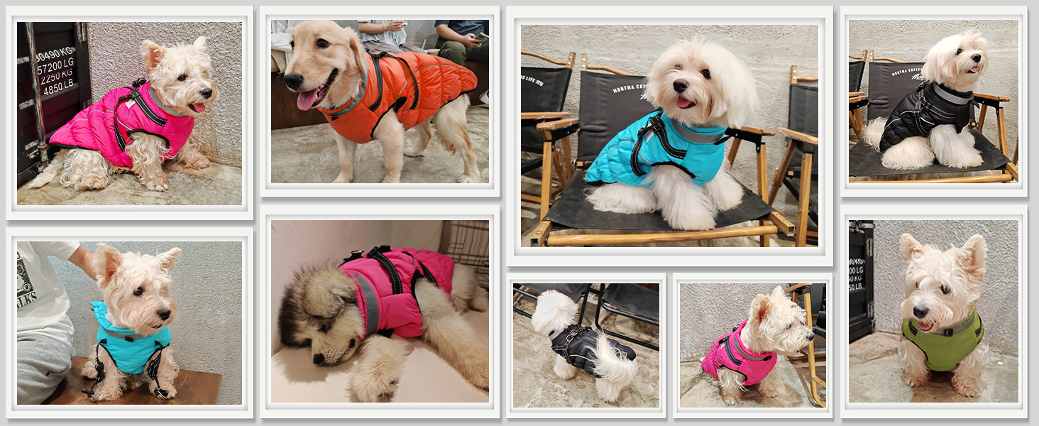 Зимовий одяг для собак: тепла куртка з LED-краваткою, світловідбиваючі смуги, водонепроникний, для маленьких та середніх собак (Чорний, XXL)