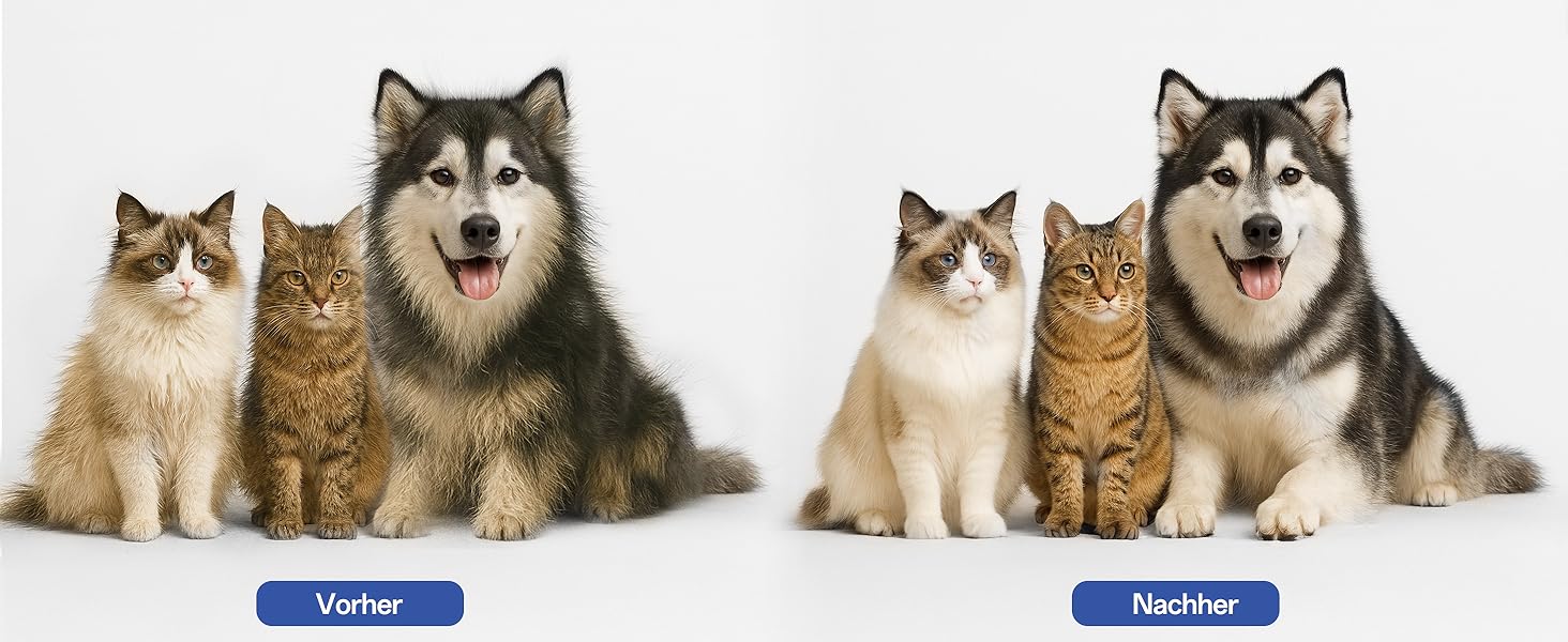 Щітка для собак та котів ACE2ACE, щітка для тварин, для довгої та короткої шерсті, видаляє шерсть з однією кнопкою, біло-блакитна (блакитна)