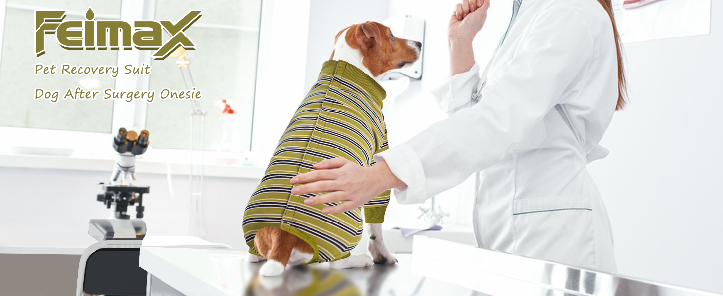 Захисний одяг для собак після операції: комбінезон для відновлення після кастрації/стерилізації (XXL, гірчичний)