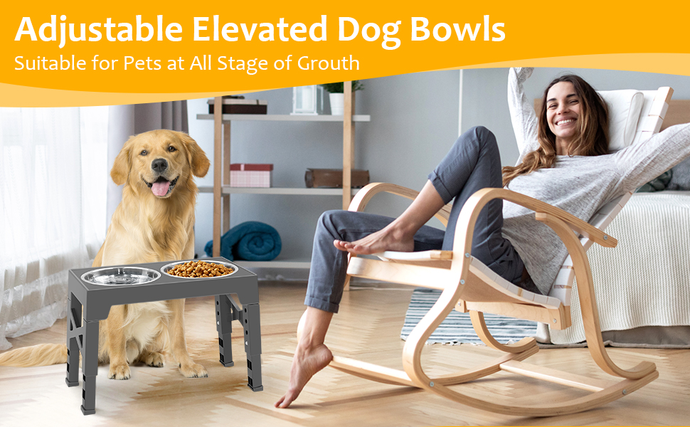 Підвищена годівниця для собак FOSTBEEN з 2 мисками з нержавіючої сталі та повільною годівницею, регульована по висоті